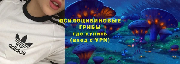 стафф Алексеевка