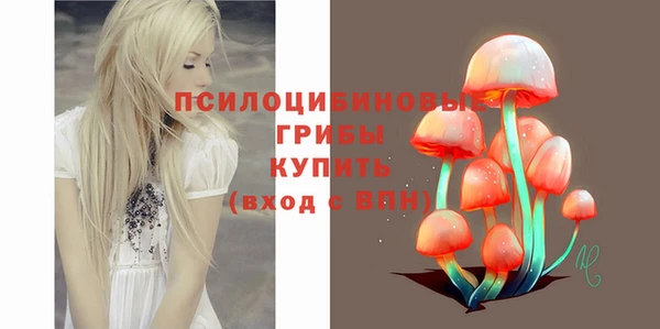 меф Арсеньев